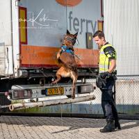 Politie met speurhond op zoek naar inklimmers in de Rotterdamse haven